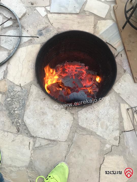 مزرعة وشاليه للايجار اليومي في الرصيفة مقابل القرية العالمية للحيوان