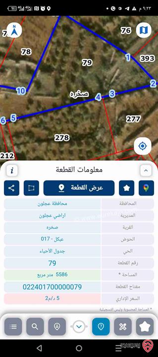 أرض مساحة 5 دونم و 500م للبيع في عجلون - صخره 