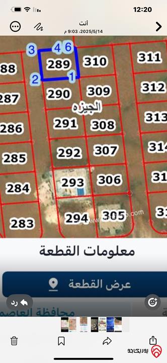 قطعة أرض مساحة 500م للبيع من أراضي جنوب عمان - الجيزه خلف المتصرفية 