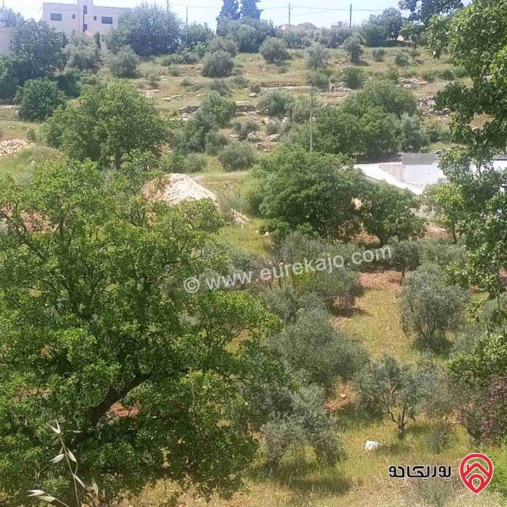 قطعة ارض مساحة 2600م للبيع في عمان - منطقة بدر الجديدة 