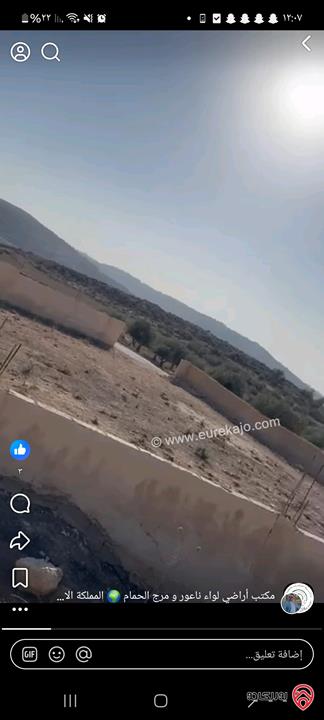 أراضي مساحة 3700م للبيع في عمان - ناعور حسبان مزروعة زيتون