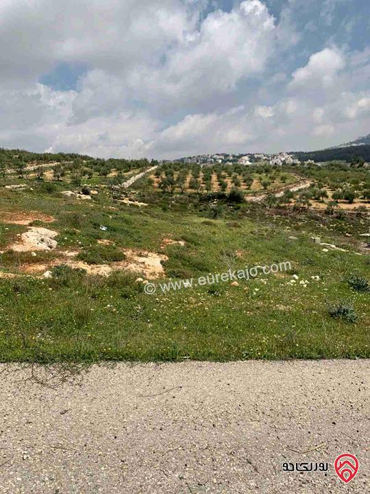 ارض مساحة 875م للبيع من أراضي غرب عمان - الدربيات