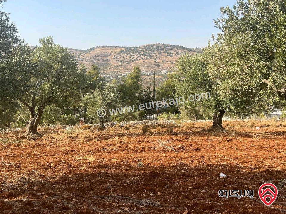 قطعة أرض ريفية مساحة 7 دونم للبيع في في جرش سوف حوض بيدر الحمص 