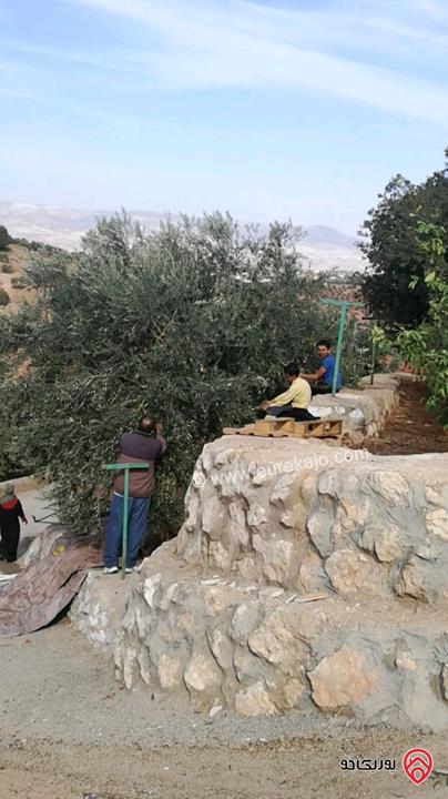 مزرعة زيتون مساحة الأرض 8 دونم و 588م و البناء مساحة 100م للبيع في السلط