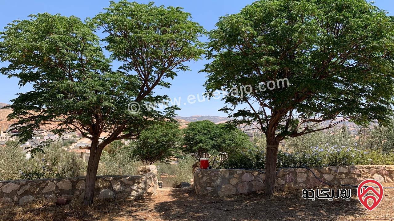 مزرعة مساحة الأرض 2 دونم للبيع بدون منزل في جرش حي الجبارات