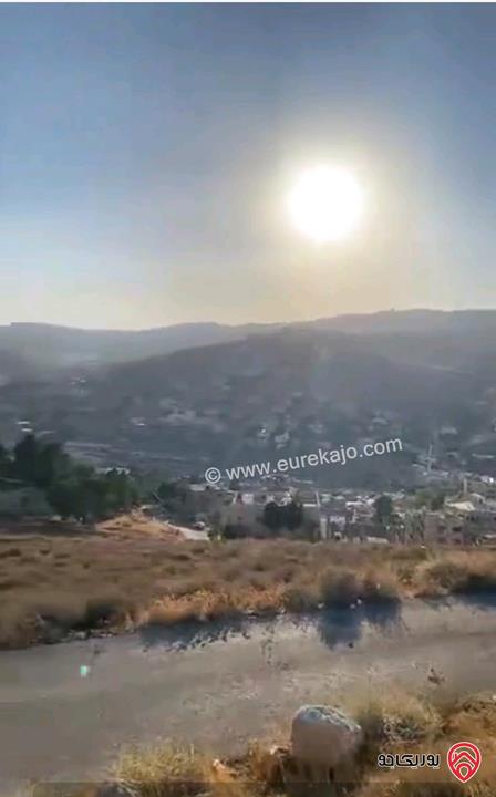 أرض مساحة 1 دونم للبيع في بيرين - محافظة الزرقاء