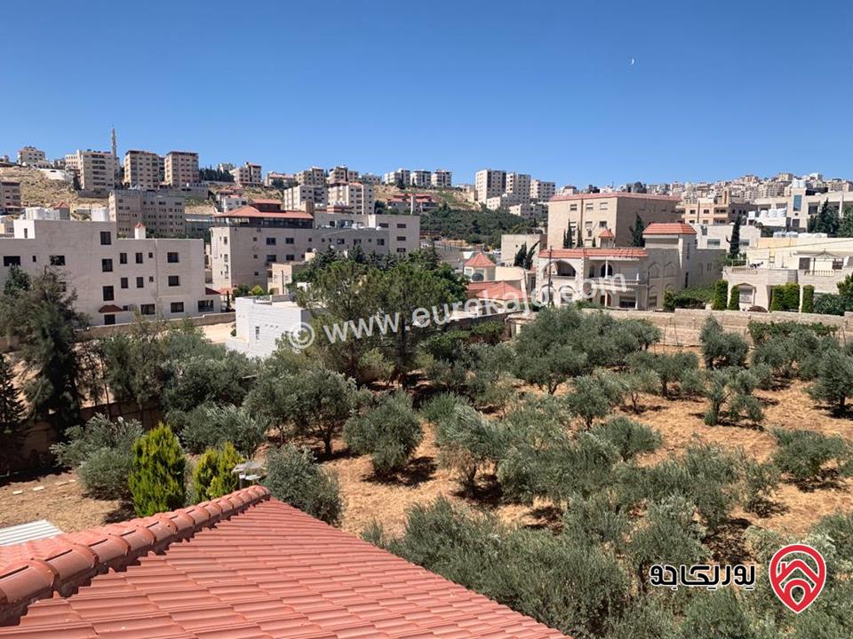 فيلا مساحة 750م على أرض 8114م للبيع بسعر مغري جداً في عمان - الجبيهة، حوض المقرن
