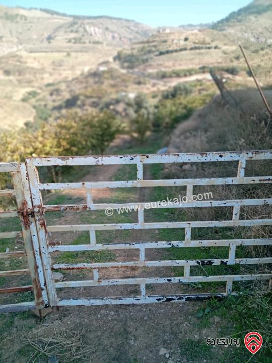 مزرعة مساحة 14 دونم مشجرة ومسيجه فيها بيت للبيع في ناعور وادي السليط 