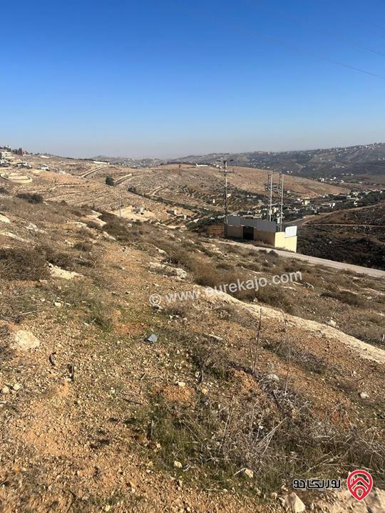 ارض سكنية 751م للبيع في الزرقاء - شارع الاردن ام رمانة 