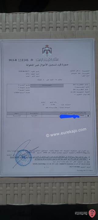  أرض مساحة 10 دونم للبيع في المفرق - رباع السرحان بسعر مغري3000 دينار للدونم
