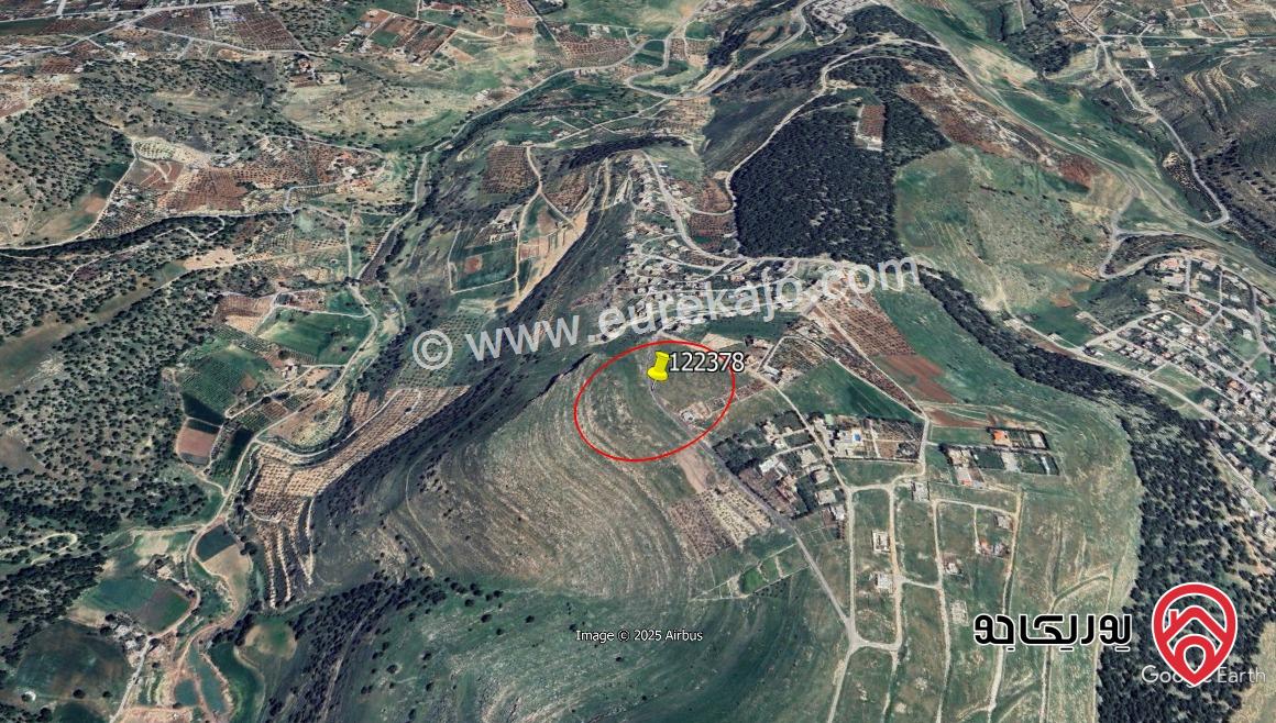 أرض مساحة 10000م للبيع في البلقاء - ام انجاصة