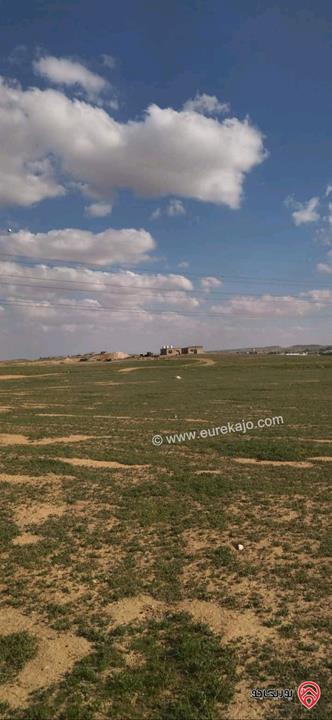 قطعة أرض مساحة دونم على شارعين للبيع في الزرقاء - الهاشمية - حوض المطار 
