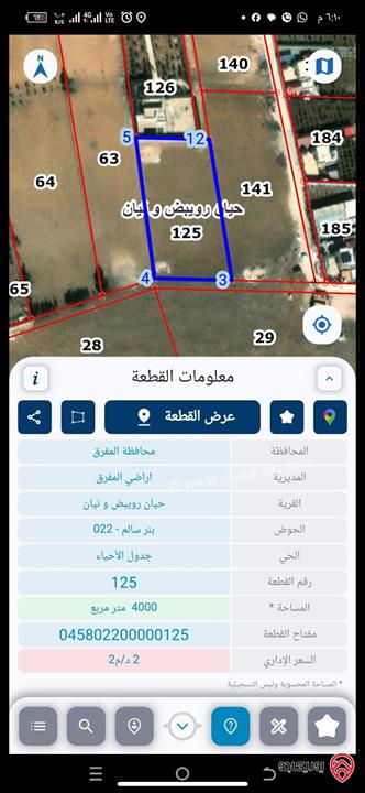 قطعة أرض مساحة 4 دونم للبيع في المفرق - حيان الرويبض