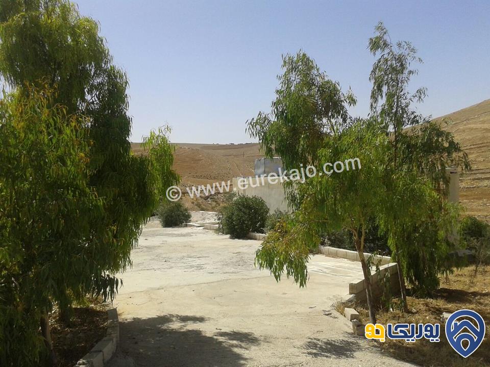 مزرعة مساحة 5000م للبيع في بلعما