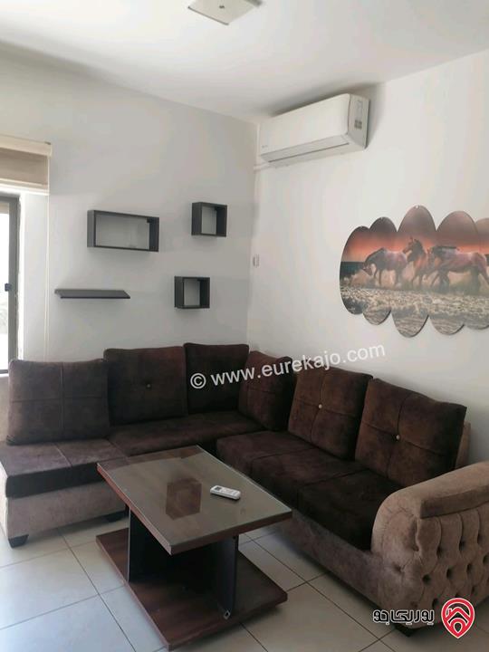 استوديو عدد 2 مساحة 65م لكل استوديو للبيع مع الفرش في عمان - الجبيهة 