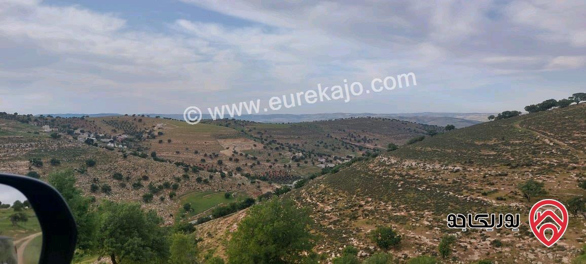 مزرعة مساحة الأرض 3 دونم و 400م للبيع في الزرقاء - صروت 