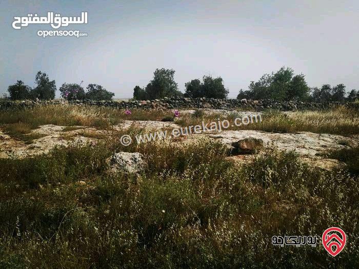 أرض زراعية مساحة 8 دونم للبيع في اربد 