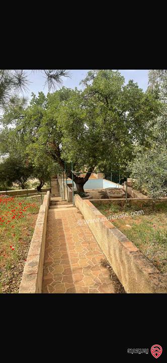 مزرعة مساحة الأرض 10 دونم والبناء 500م للبيع في عمان - منطقة وادي السير البصة ام الخنازير 