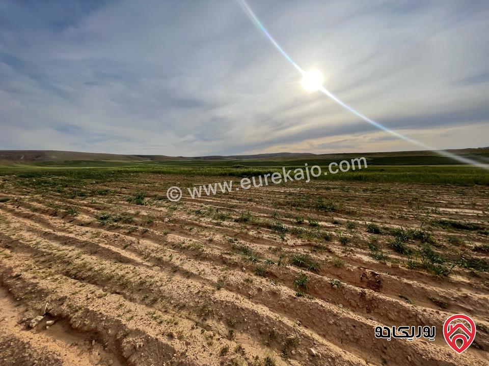 أرض مساحة 21 دونم و 400م للبيع من أراضي شرق عمان - الماضونة قرب جمرك عمان الجديد 