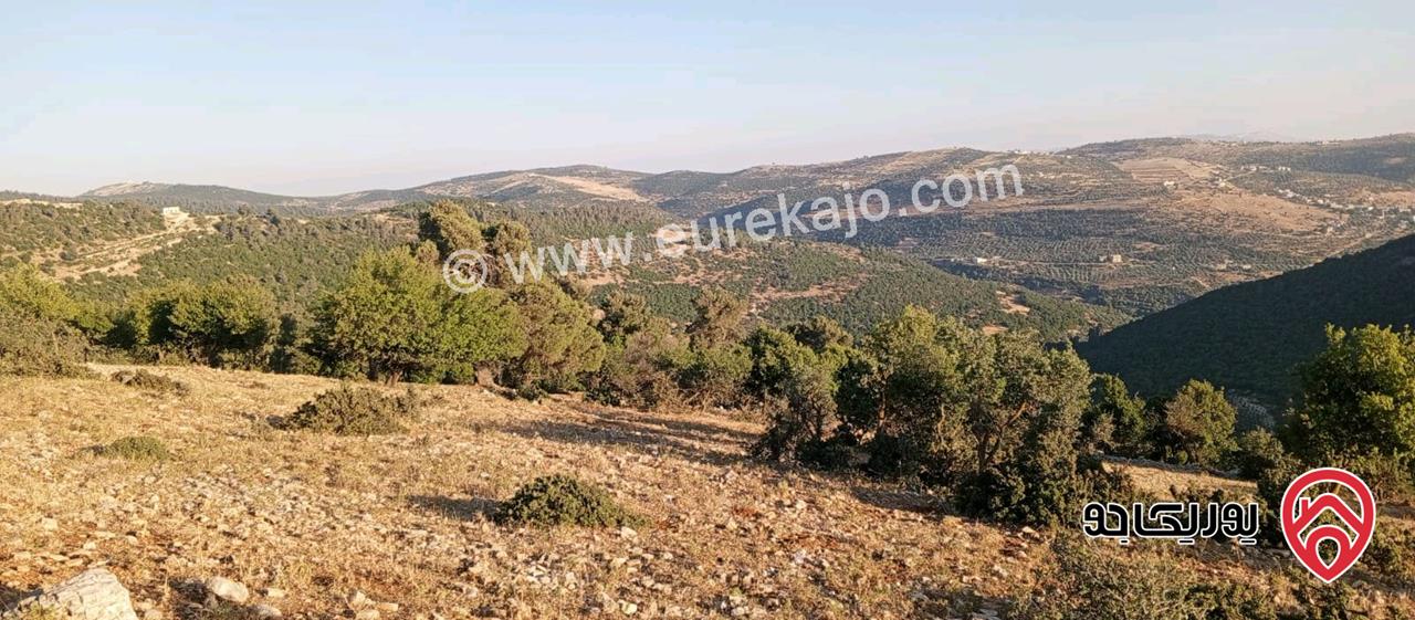 أرض مميزة مساحة 2 دونم للبيع في محافظة عجلون منطقة عنجرة / خربة الحنيش الأثرية 