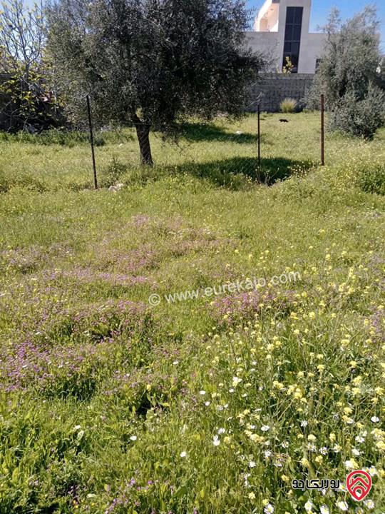 أرض مساحة 1 دونم للبيع في عمان - الحمار الكمالية 