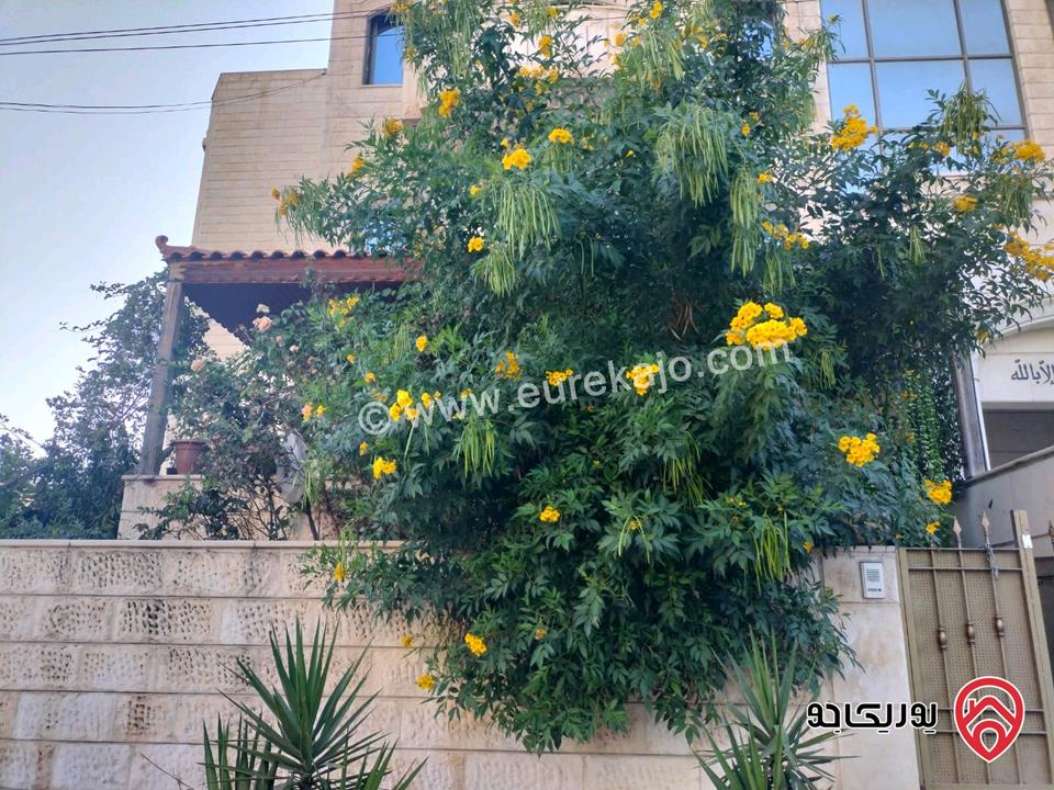 شقة أرضية مساحة 172م داخلي و 30م خارجي للبيع في عمان - طبربور 