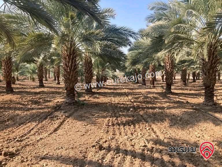 مزرعة مساحة 60 دونم للبيع في البلقاء - دير علا