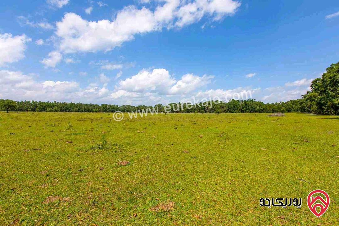 ارض مساحة 14 دونم للبيع من اراضي اربد - بني كنانة - ام قيس