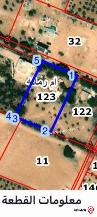 أرض للبيع في عمان -  ام رمانه حوض الجيعه قرب الاندلسيه مساحة 2250م سكن ريفي  