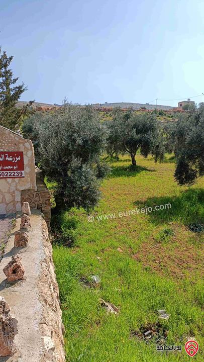 ارض مساحة 5100م للبيع في موقع مميز في دحل طريق الزرقاء جرش 