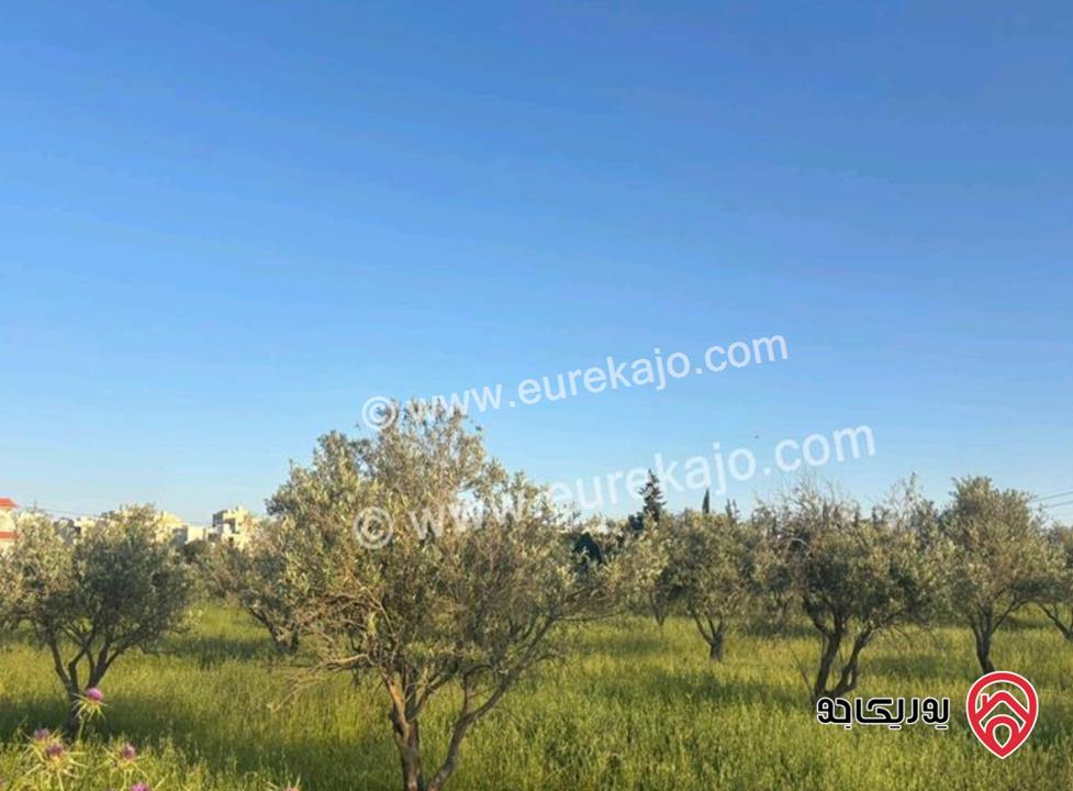 قطعة أرض مساحة 812م للبيع في مادبا - الخطابية 