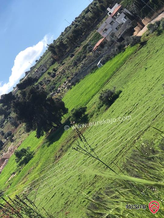 قطعة ارض مساحة 6 دونم و 500م للبيع كاملة او جزء منها في الزرقاء - الكمشة حوض البيرة 