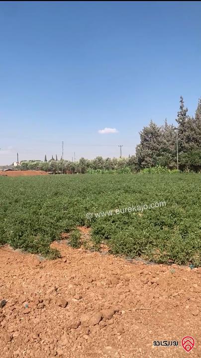 قطعة أرض مساحة 2 دونم للبيع في عمان - ام العمد طريق المطار افراز أ سكن أخضر منطقة فلل و شاليهات