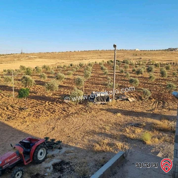 أرض زراعية مساحة 25 دونم للبيع في الكرك - فقوع
