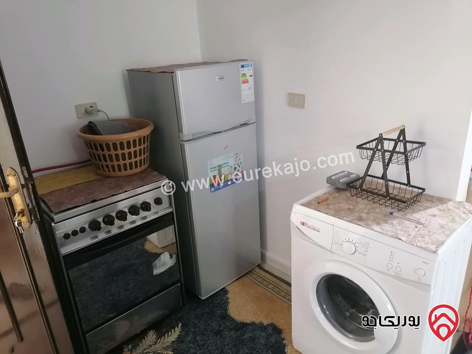 شقق مفروشة للايجار في اربد شارع الجامعة 