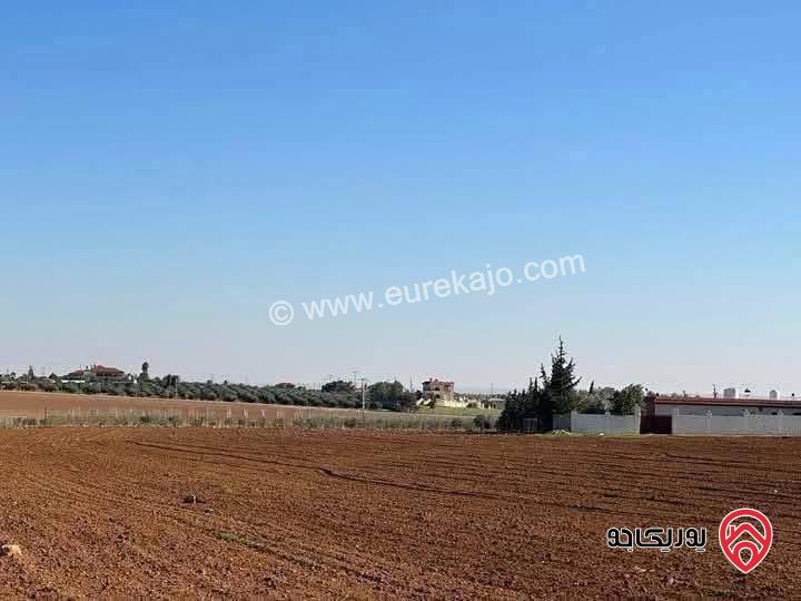 قطعة أرض مساحة 4 دونم للبيع في عمان - ام رمانة 