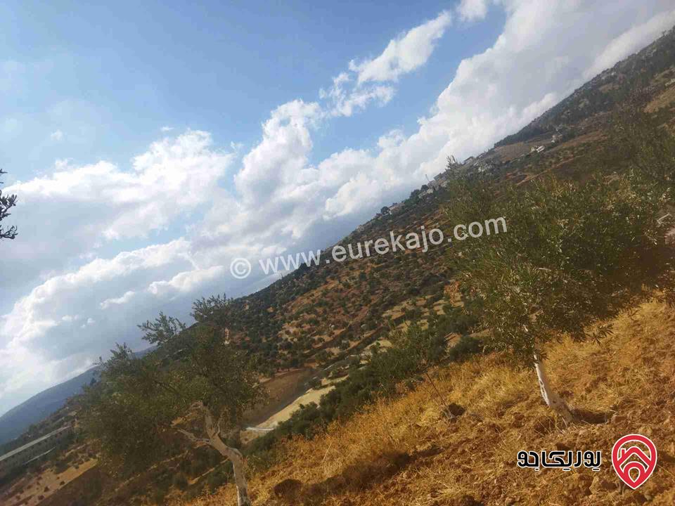 قطعة أرض مساحة 773م للبيع في اربد - الطيبة 
