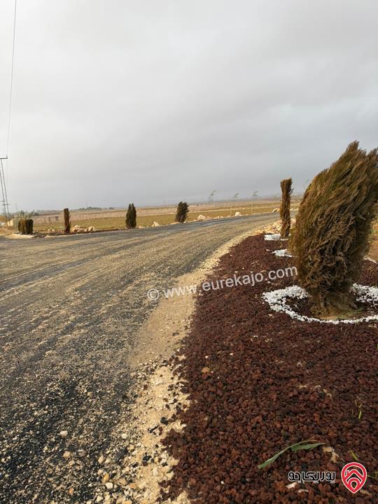 اراضي سكنية استثمارية مساحة 1700م للبيع في عمان - مقابل مطار الملكة علياء مباشرة من المالك مباشرة 