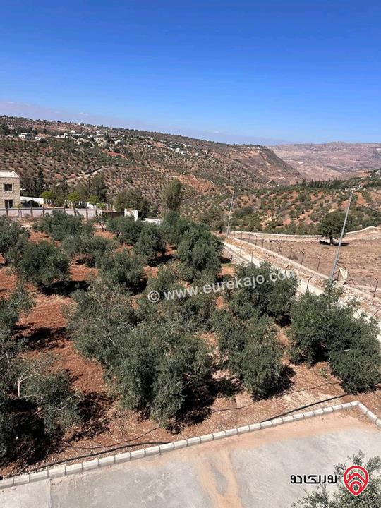 مزرعة مساحة الأرض 4 دونم و البناء 280م للبيع في السلط - الصبيحي