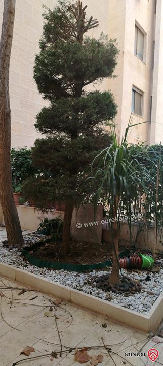 شقة مساحة 235م داخلي و 150م للبيع في عمان - الكرسي