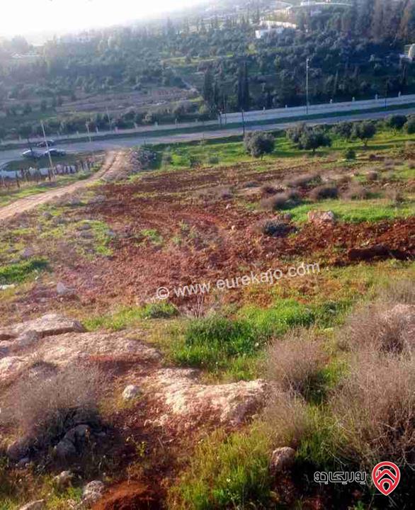 قطعة أرض مساحة 5 دونم و 25م للبيع في المفرق - دحل