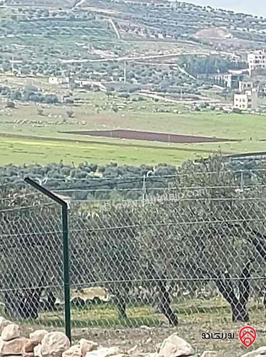 قطعة أرض مساحة 965م للبيع في عمان - الجبيهة 