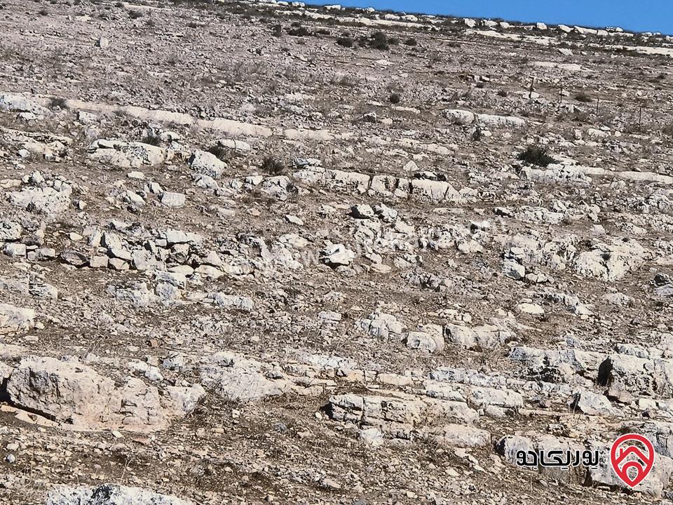 قطعة أرض مساحة 6 دونم و 172م للبيع في إربد لواء المزار الشمالي قرية صمد