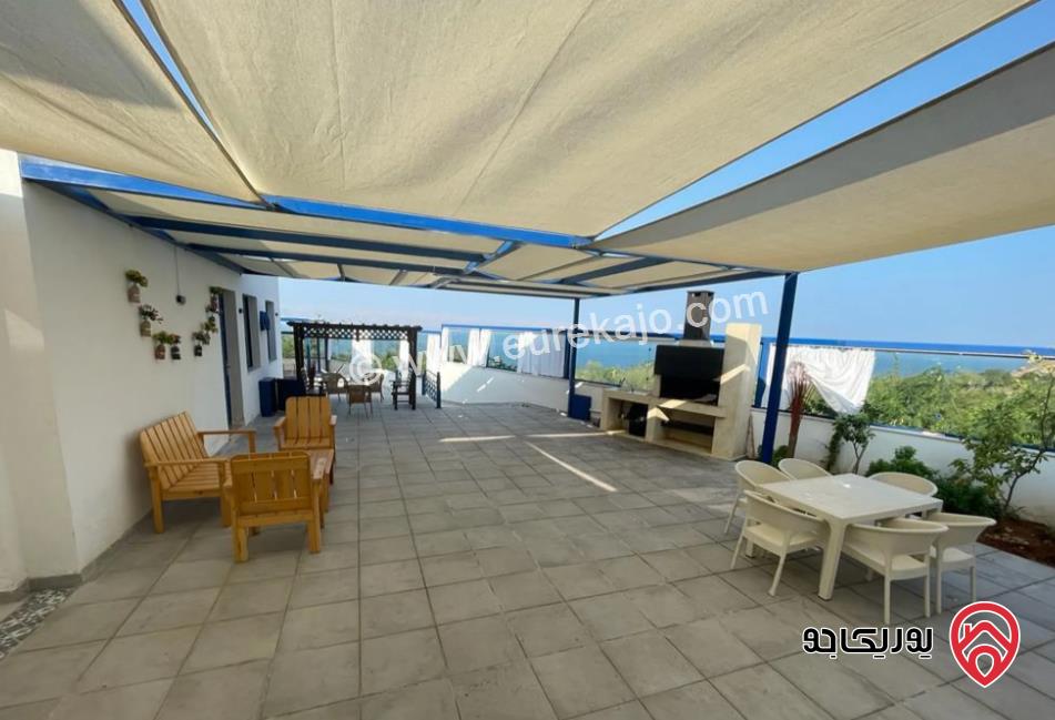 شاليهات Lara Family Resort للايجار اليومي في البحر الميت 