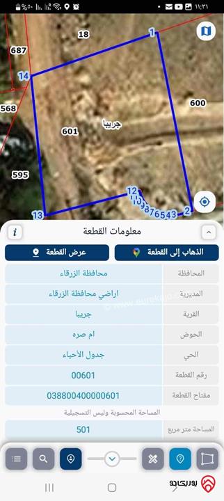 قطعة ارض مساحة 501م للبيع في الزرقاء - ضاحية المدينة المنورة 