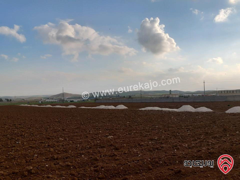 قطعة أرض مساحة 3 دونم و 400م للبيع في المفرق - الزيتونة