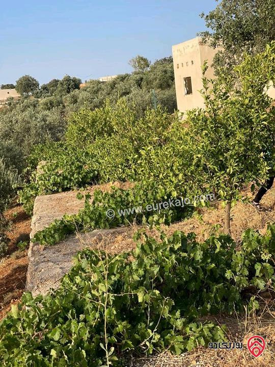 مزرعة مساحة 5177م للبيع في السلط - الصبيحي ابوالهيل  اطلاله على جبال فلسطين