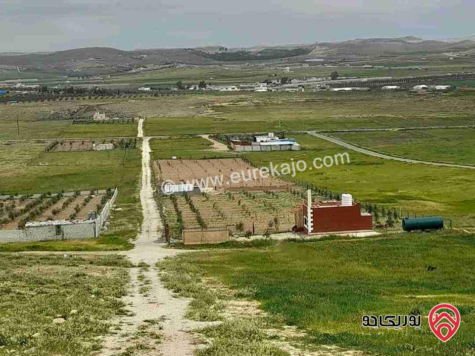 مزرعة مساحة 4 دونم للبيع في المفرق - بلعما 