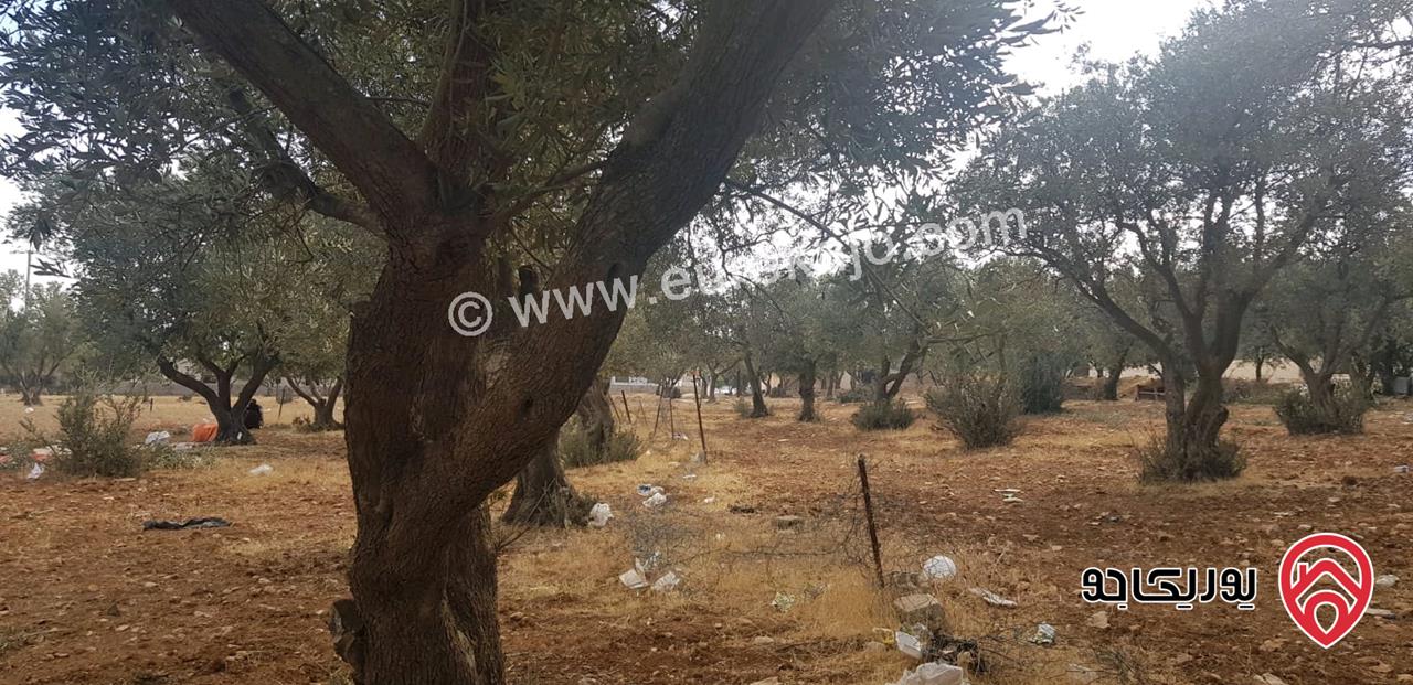 أرض مساحة 917م للبيع في عمان - حسبان خلف الجامعة الألمانية الأردنية