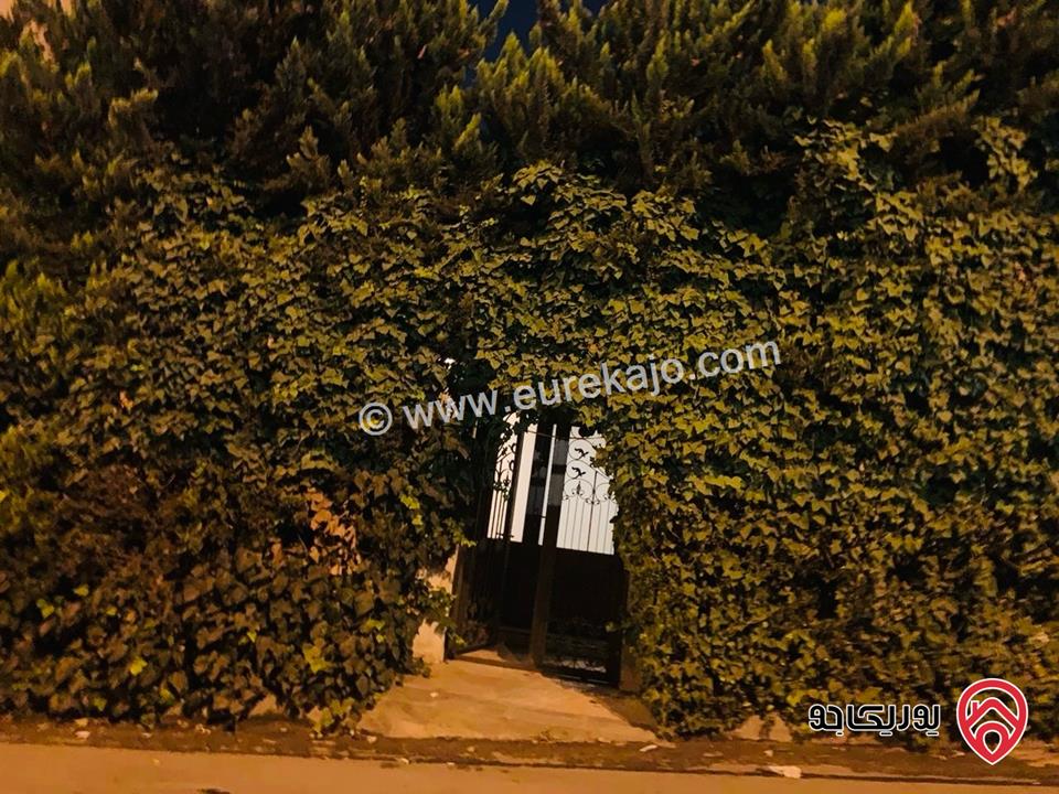 فيلا طابقين مساحة 290م على أرض 315م للبيع في عمان - الياسمين تصلح لعائلتين 
